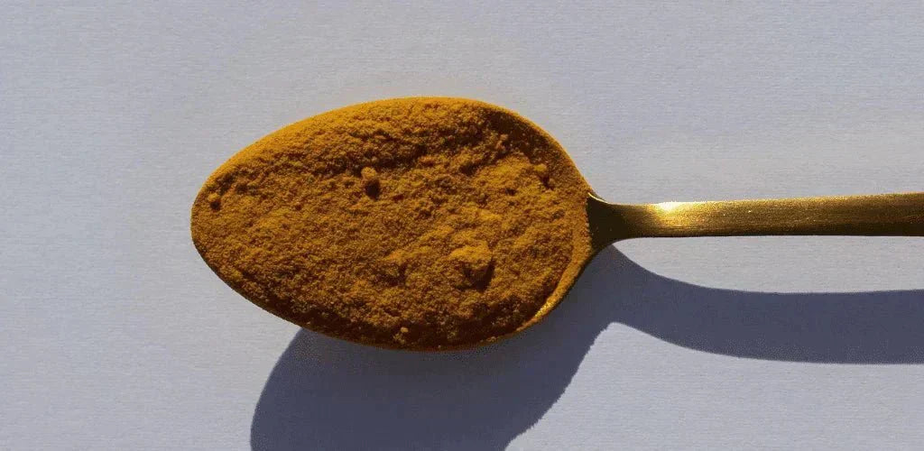 Cos'è la curcuma e a cosa serve