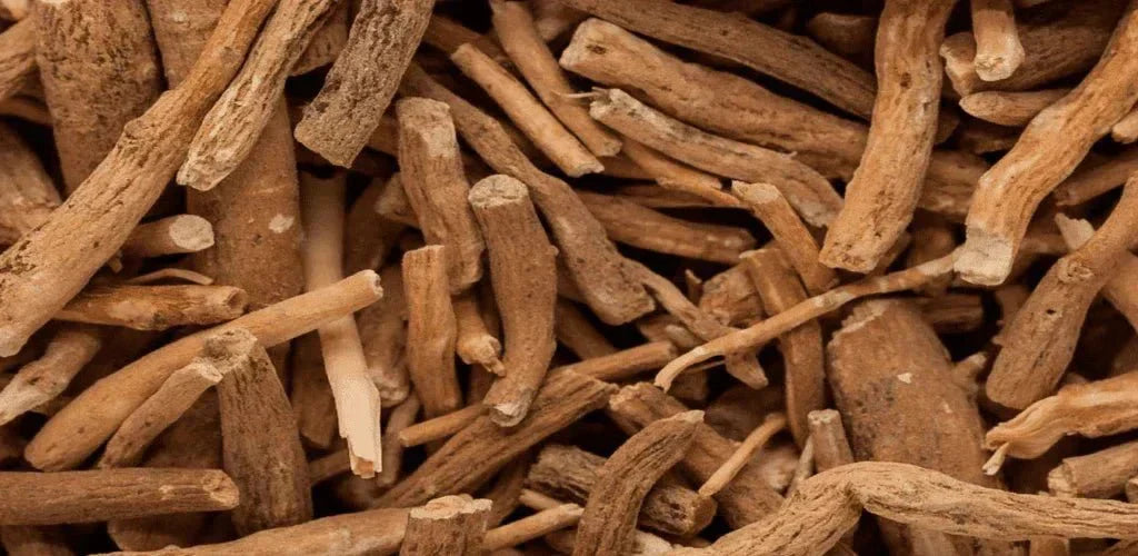 Che pianta è l'ashwagandha