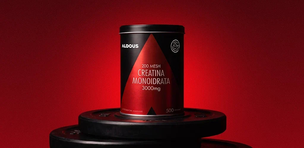 Creatina in polvere: cos’è, a cosa serve e come assumerla