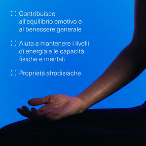 Pack Ashwagandha KSM-66 ® + Curcuma Biologica + Maca Biologica