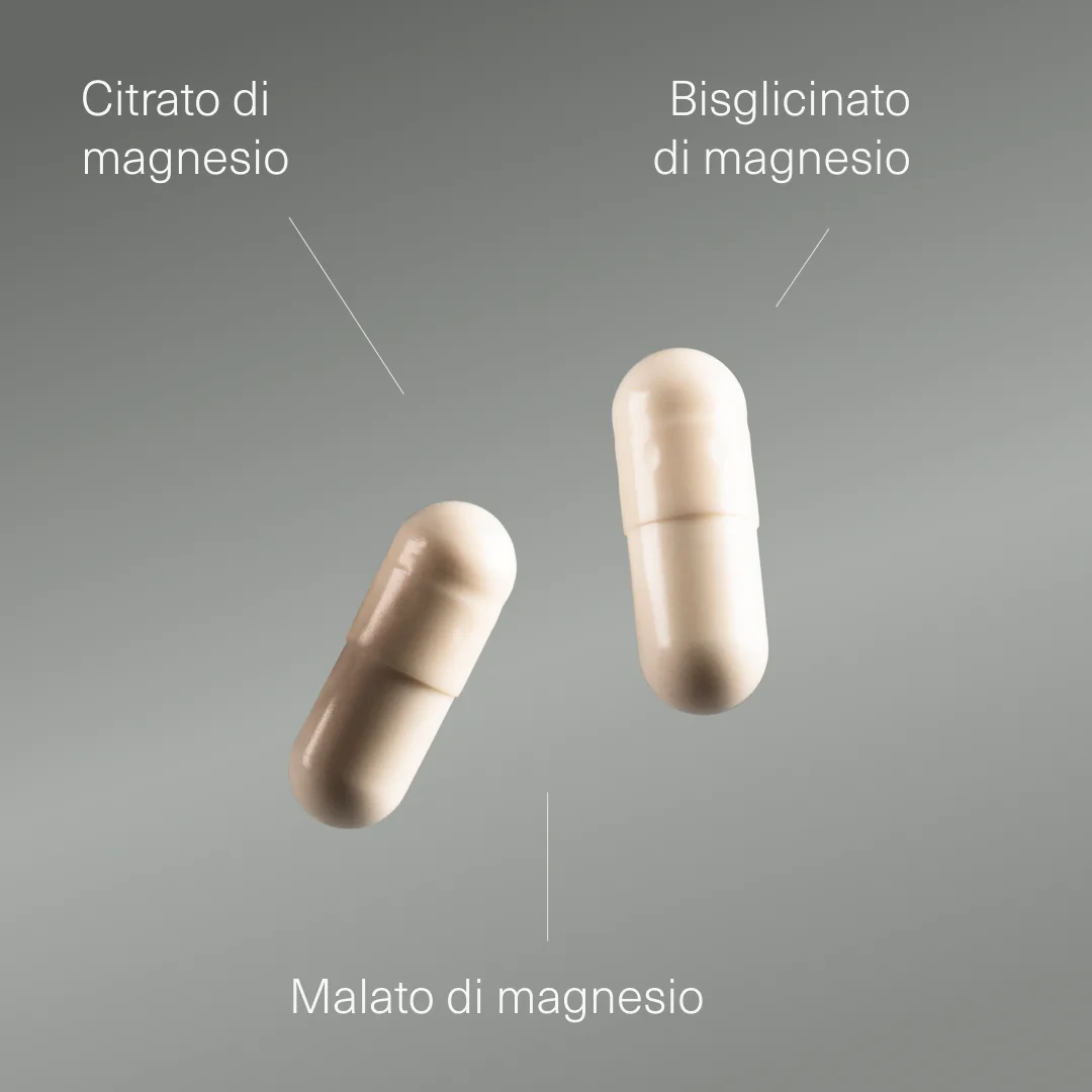 Magnesio Completo