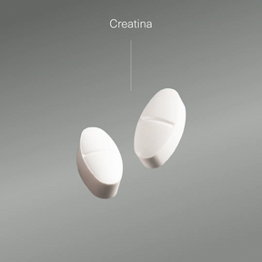 Pack Magnesio Completo + L-Carnitina + Creatina