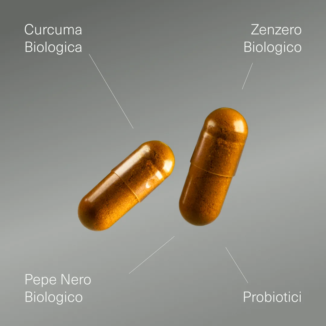 Pack Curcuma Biologica + Maca Andina