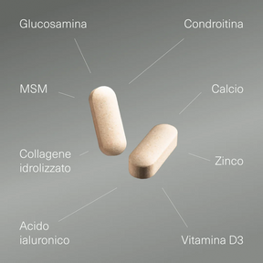 Glucosamina con condroitina, MSM, vitamine e minerali