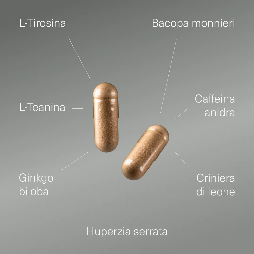 Pack Ashwagandha KSM-66 ® Biologico + Nootropico