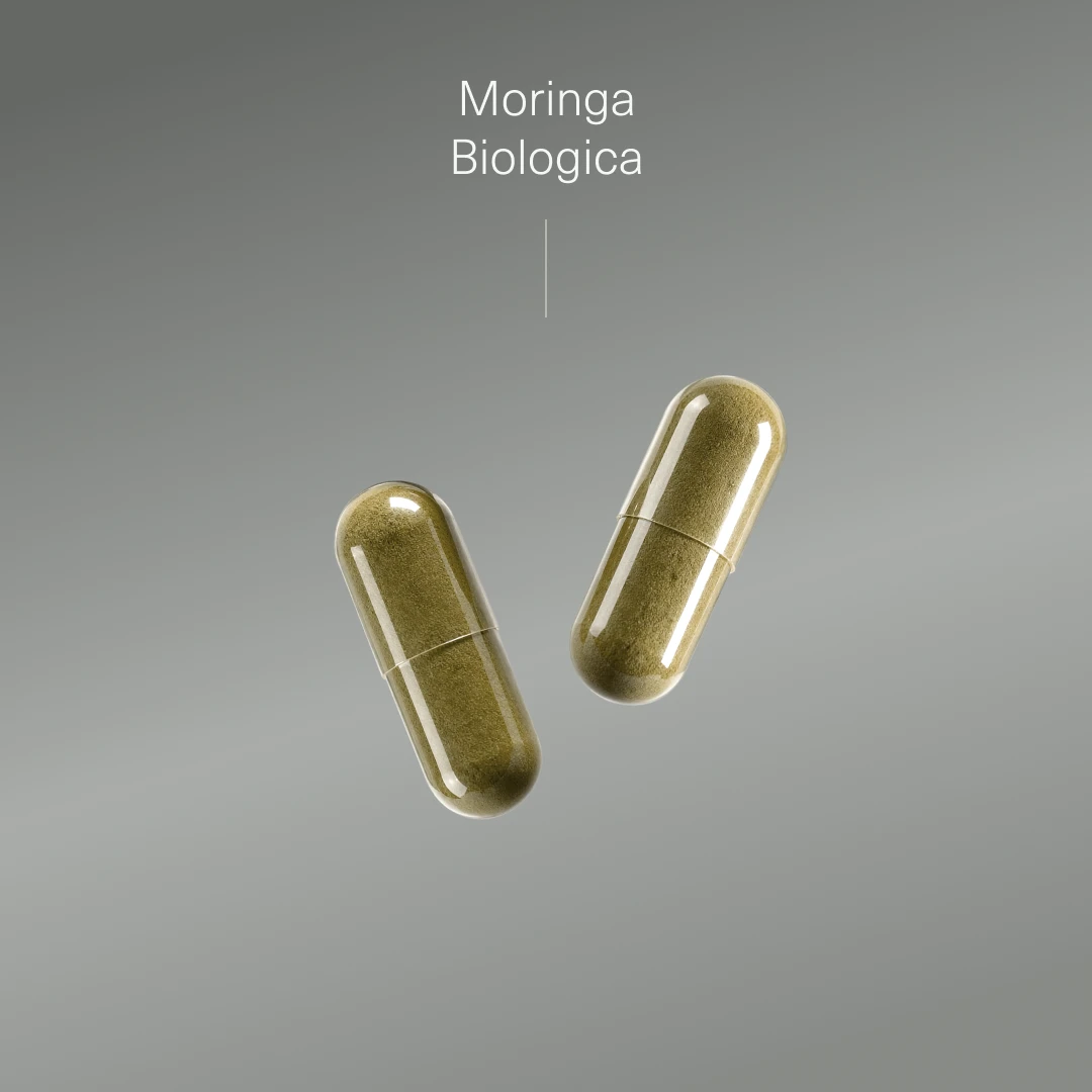 Moringa Biologica