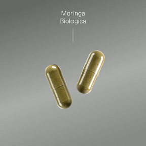 Moringa Biologica