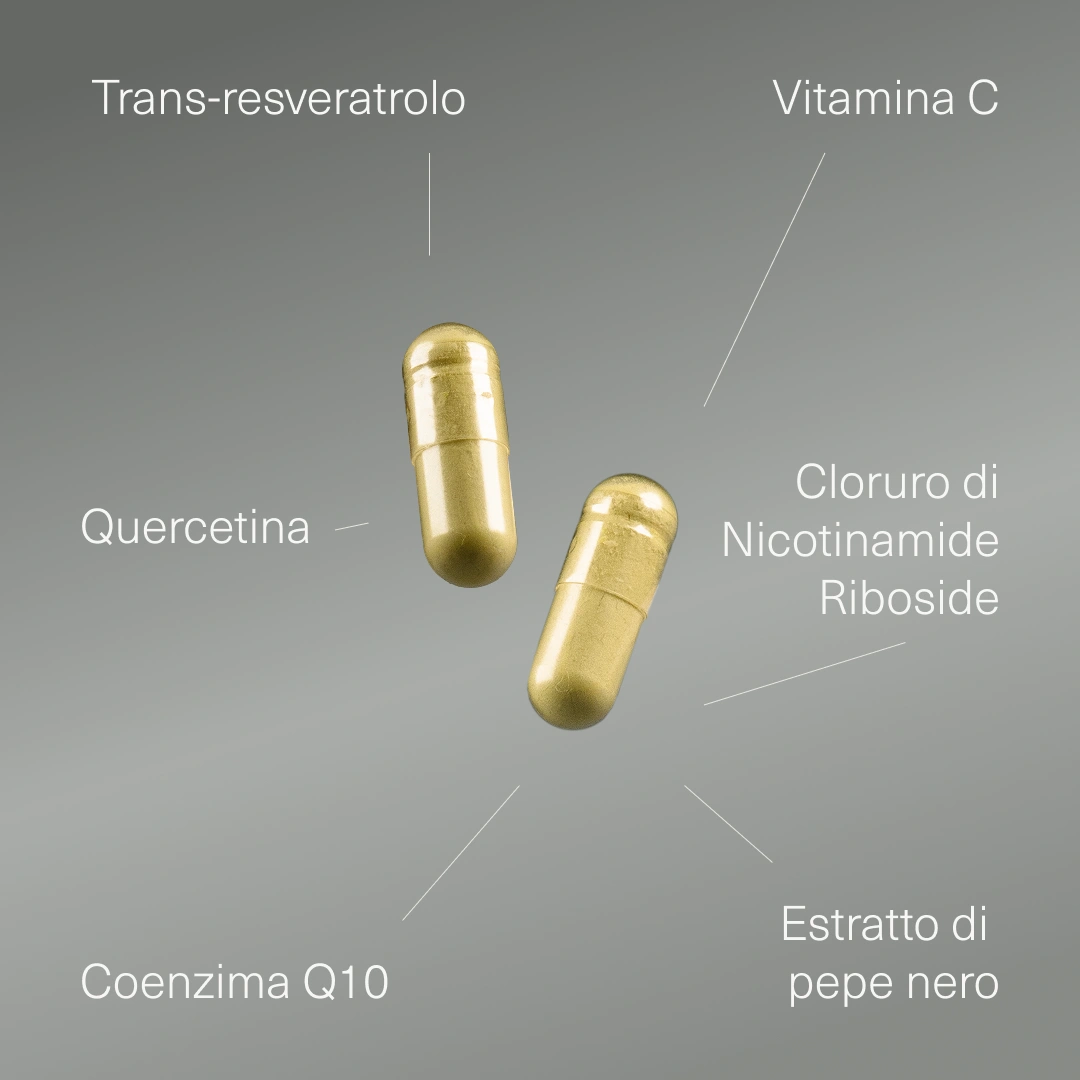 Due capsule di Resveratrolo con i suoi ingredienti: trans-resveratrolo, vitam...