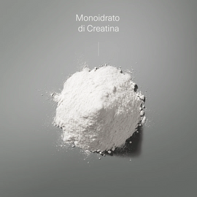 Ingrediente della creatina in polvere Aldous: creatina monoidrato.