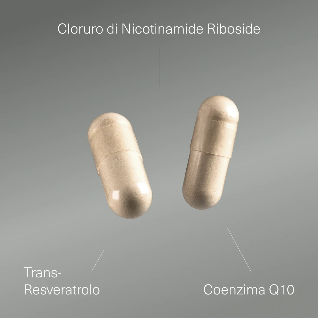 NAD+ con Resveratrolo e Coenzima Q10