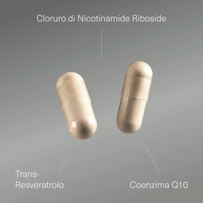 NAD+ con Resveratrolo e Coenzima Q10