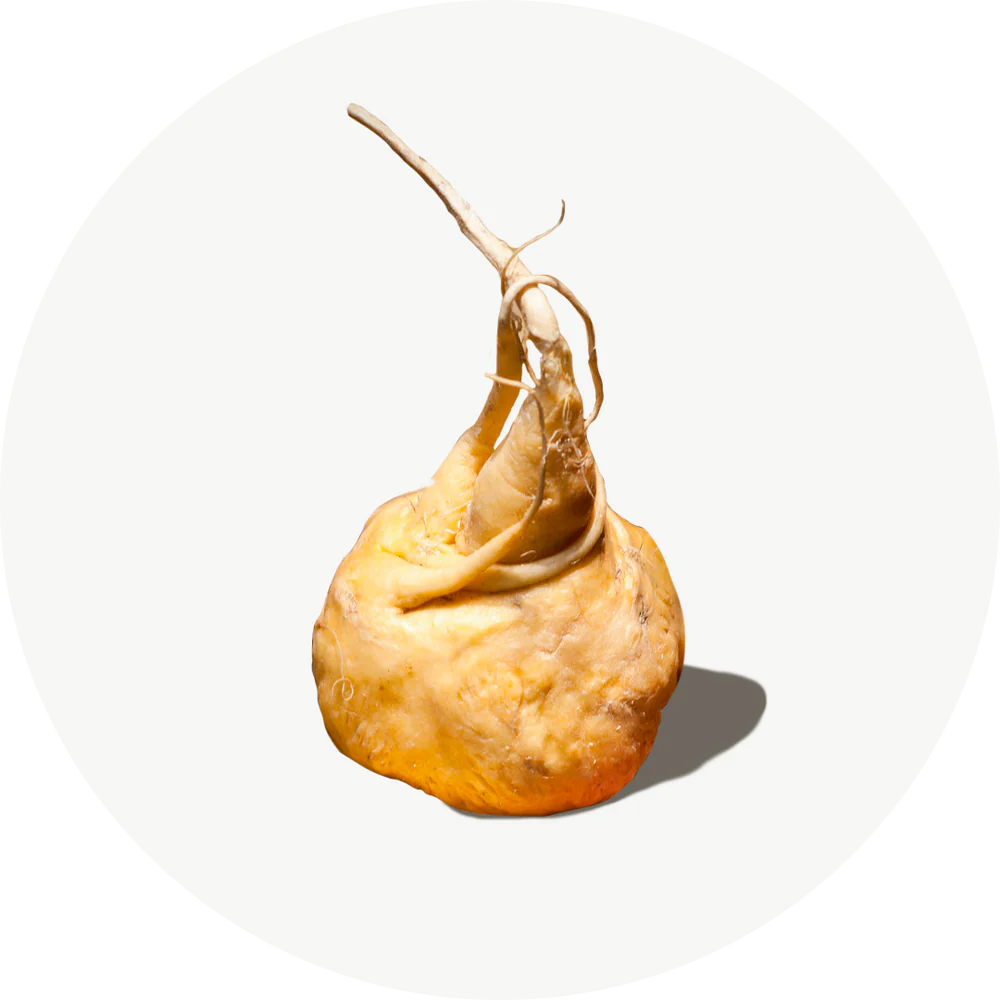 Maca Andina