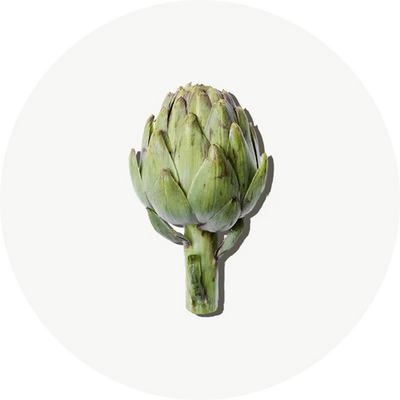 Carciofo