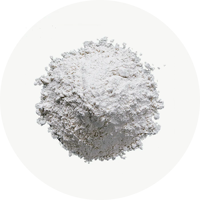 L-Carnitina