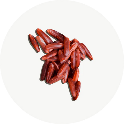 Lievito di riso rosso
