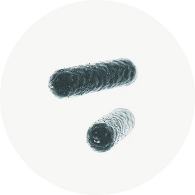 Probiotici